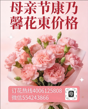 云浮花店母亲节康乃馨花束
